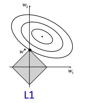 L1 Regularization