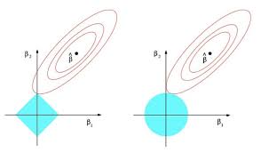 L1 L2 regularization